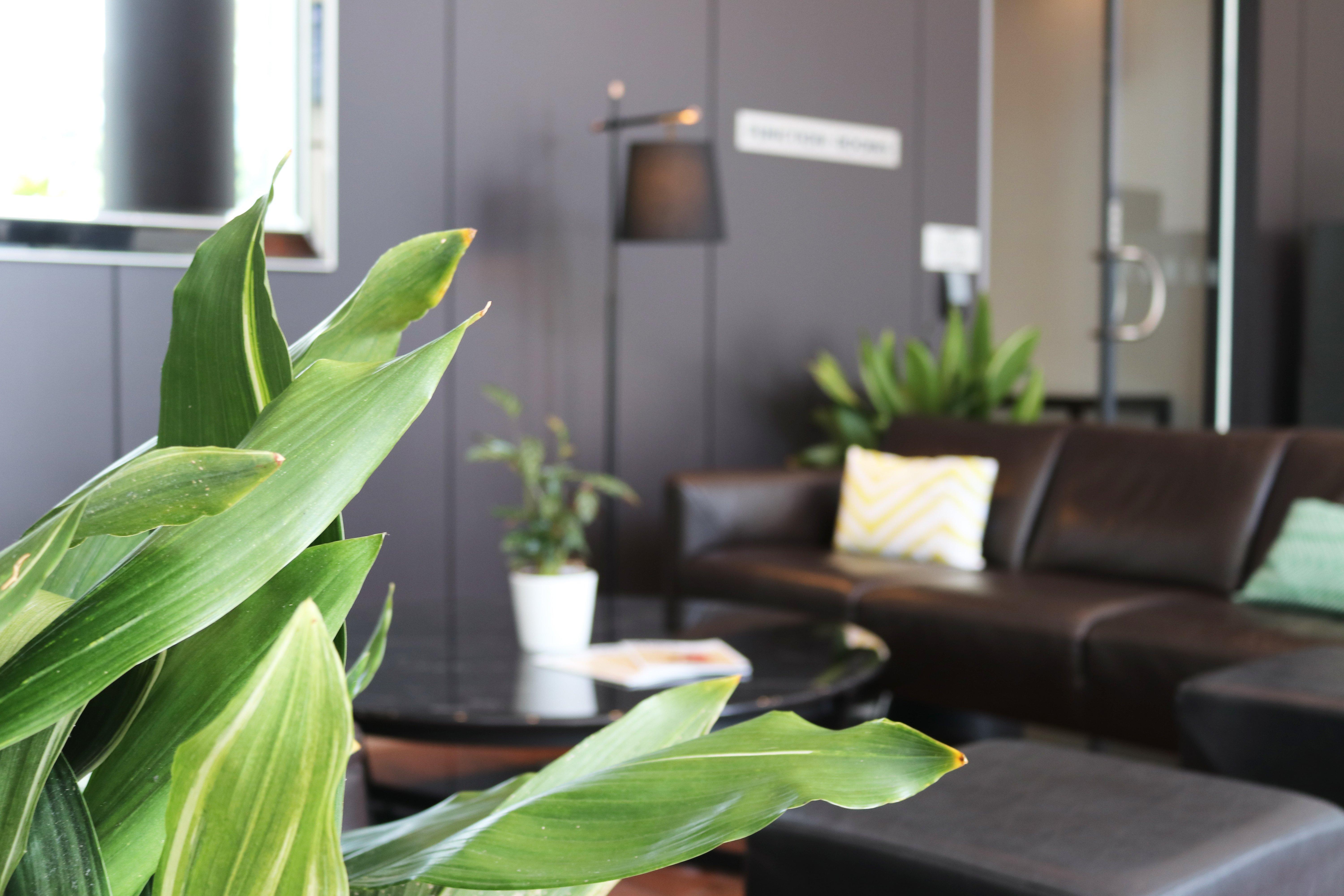 Crowne Plaza Sydney Airport By Ihg Hotell Eksteriør bilde